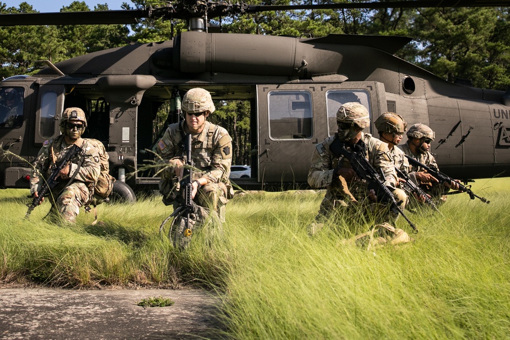 RTI Infantry ALC: Joint Component Aviation Insertion