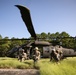 RTI Infantry ALC: Joint Component Aviation Insertion