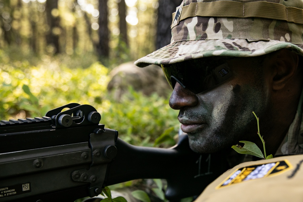 RTI Infantry ALC: Joint Component Aviation Insertion