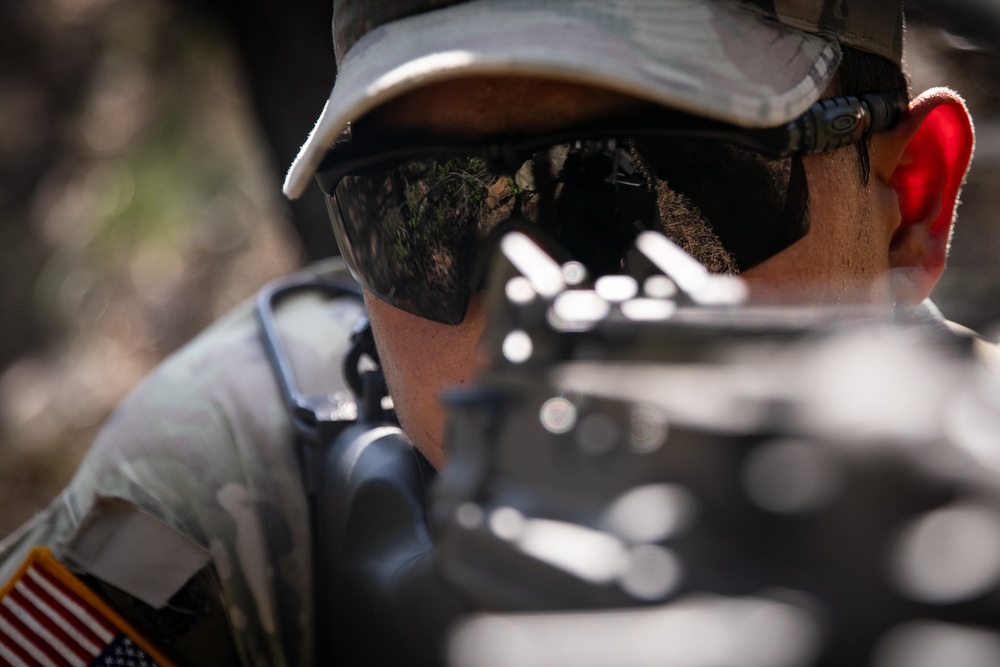 RTI Infantry ALC: Joint Component Aviation Insertion