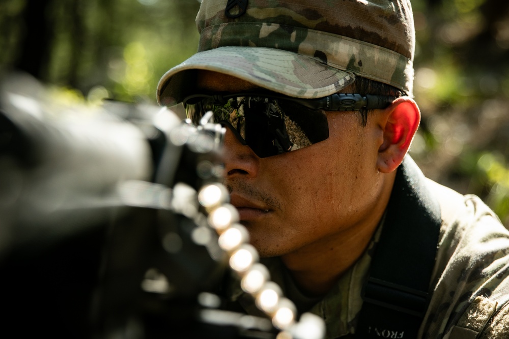 RTI Infantry ALC: Joint Component Aviation Insertion
