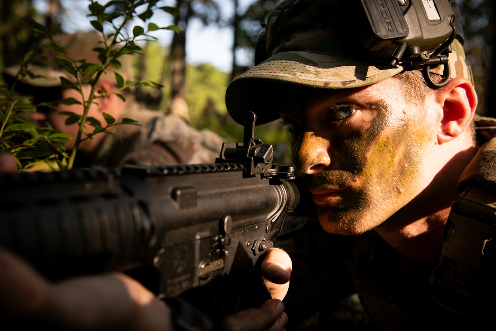 RTI Infantry ALC: Joint Component Aviation Insertion