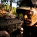 RTI Infantry ALC: Joint Component Aviation Insertion