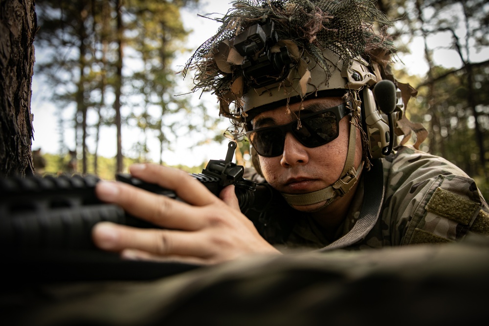 RTI Infantry ALC: Joint Component Aviation Insertion