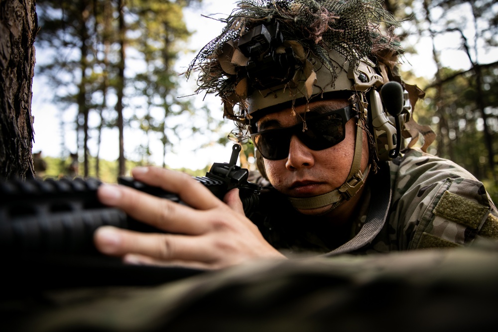 RTI Infantry ALC: Joint Component Aviation Insertion