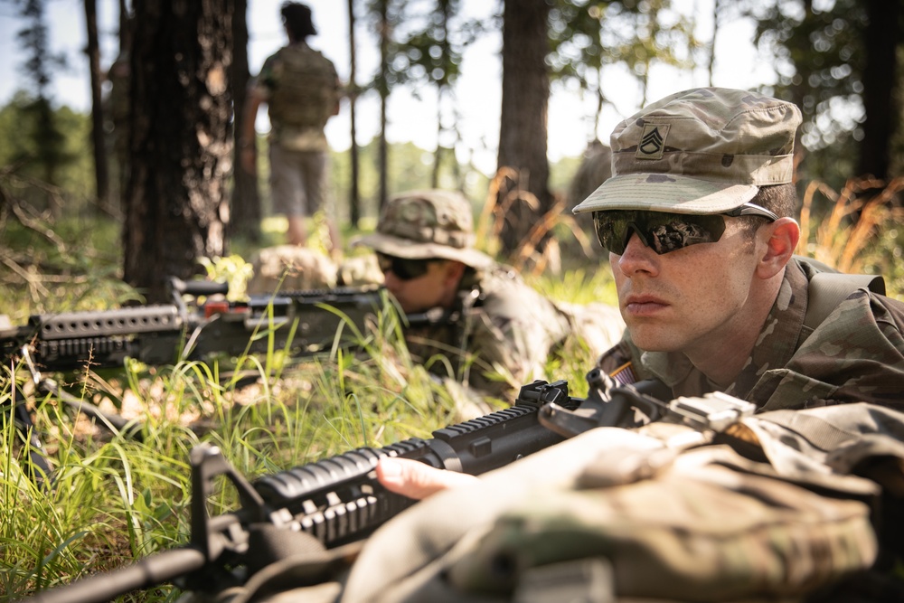 RTI Infantry ALC: Joint Component Aviation Insertion