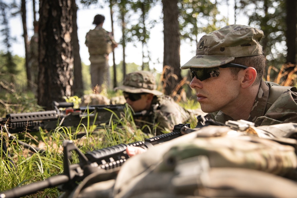 RTI Infantry ALC: Joint Component Aviation Insertion