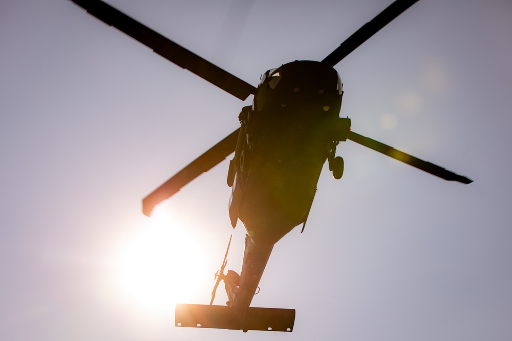 RTI Infantry ALC: Joint Component Aviation Insertion