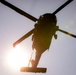 RTI Infantry ALC: Joint Component Aviation Insertion