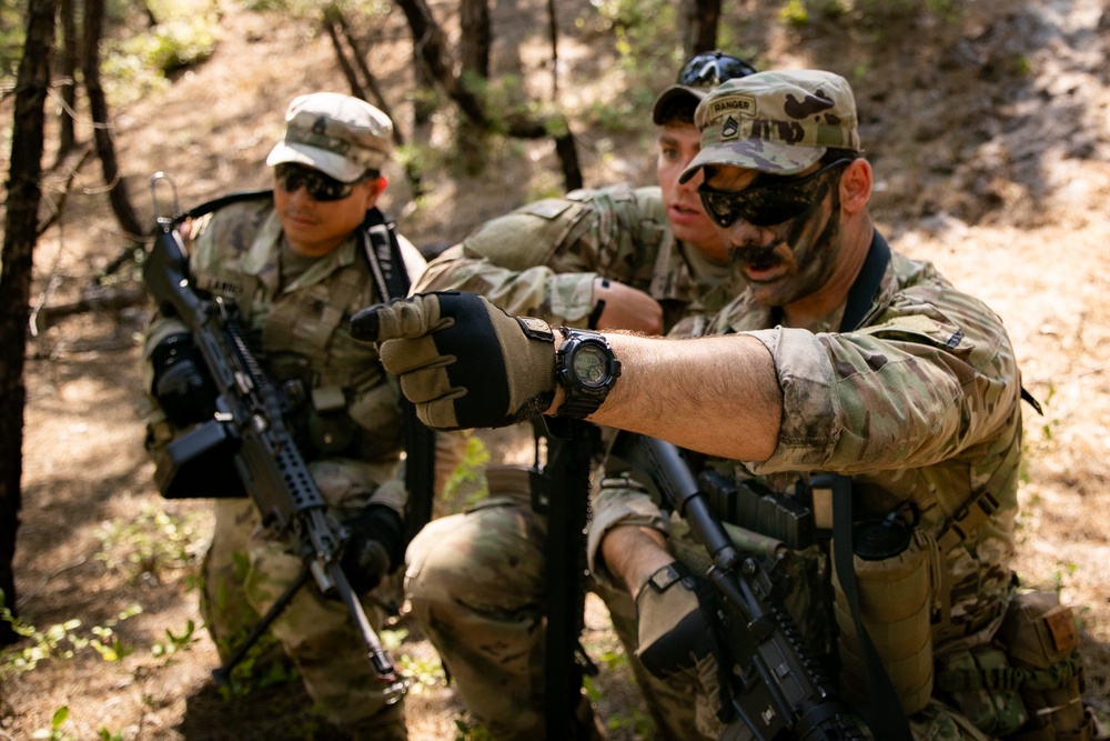 RTI Infantry ALC: Joint Component Aviation Insertion