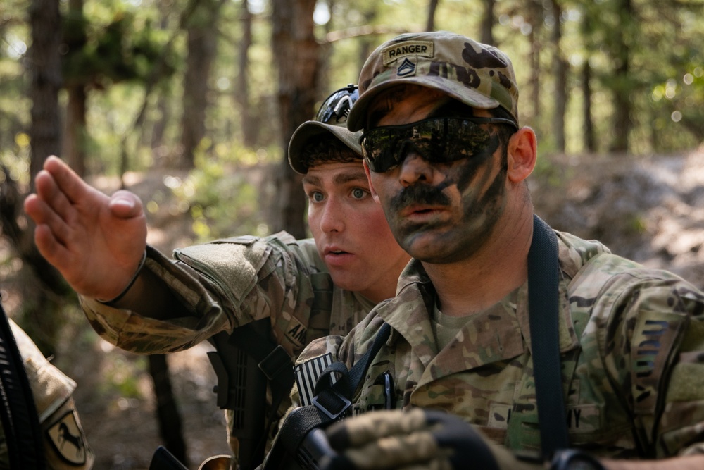 RTI Infantry ALC: Joint Component Aviation Insertion