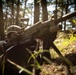 RTI Infantry ALC: Joint Component Aviation Insertion