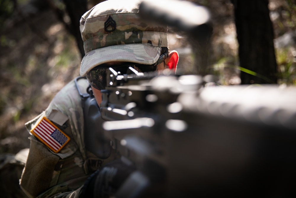 RTI Infantry ALC: Joint Component Aviation Insertion