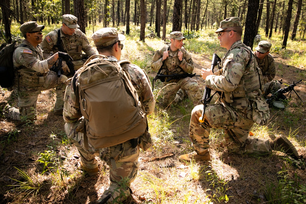 RTI Infantry ALC: Joint Component Aviation Insertion