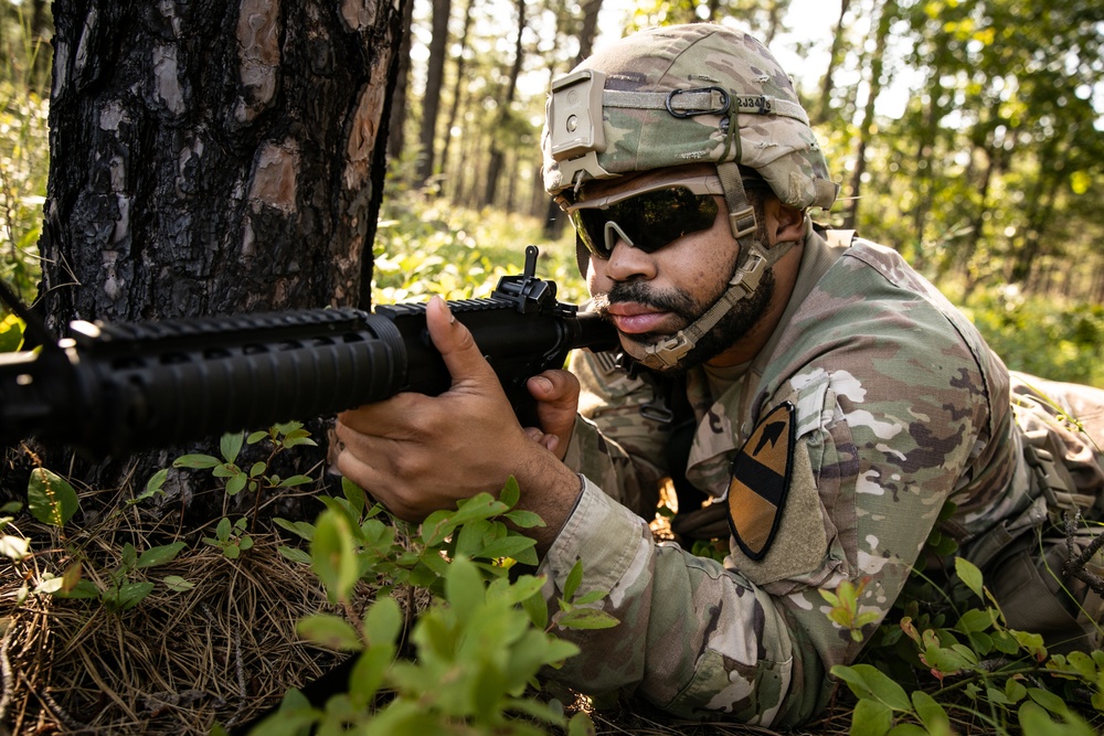 RTI Infantry ALC: Joint Component Aviation Insertion