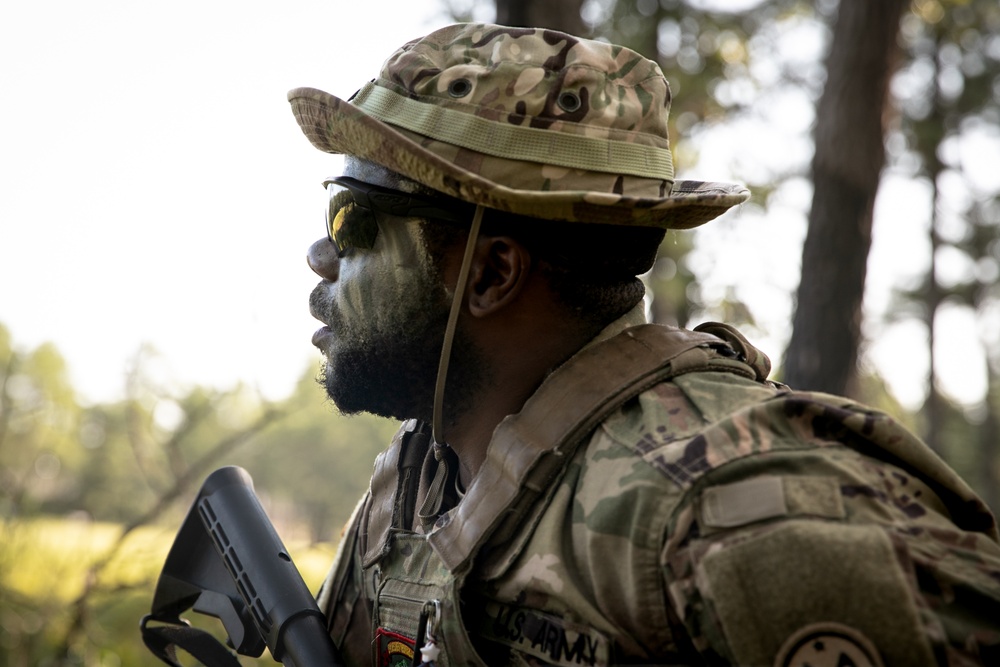 RTI Infantry ALC: Joint Component Aviation Insertion