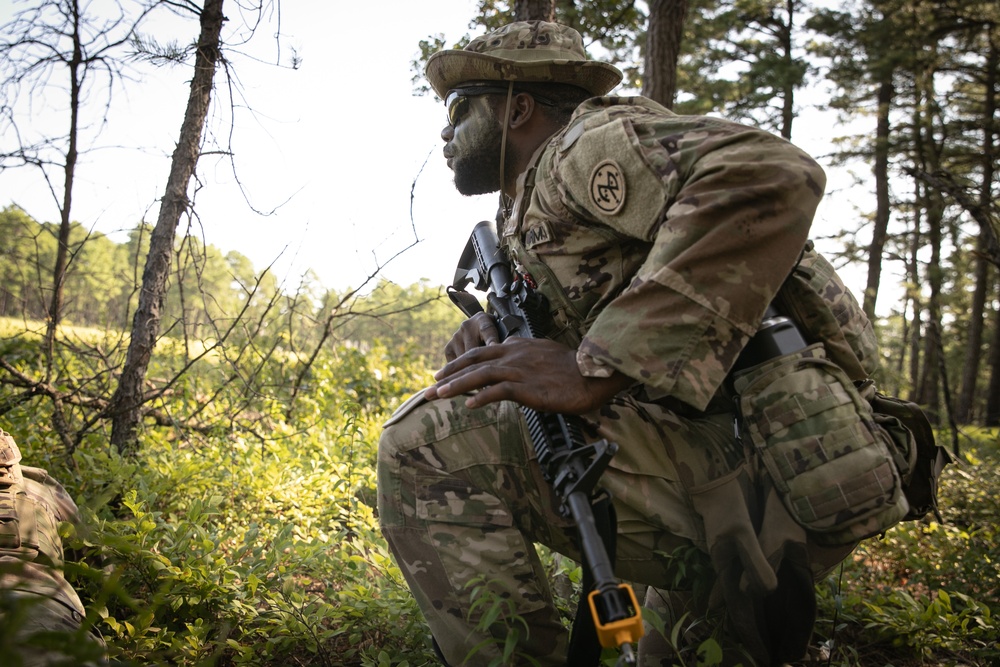 RTI Infantry ALC: Joint Component Aviation Insertion