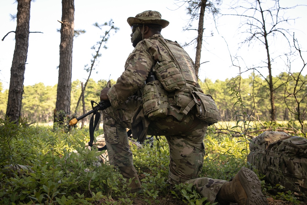 RTI Infantry ALC: Joint Component Aviation Insertion