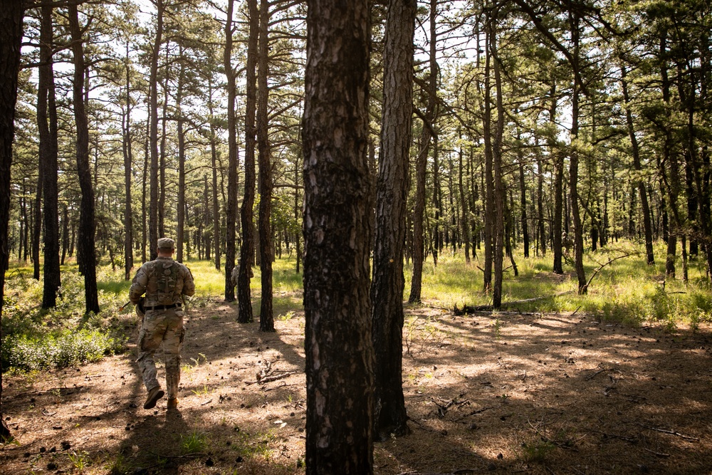 RTI Infantry ALC: Joint Component Aviation Insertion