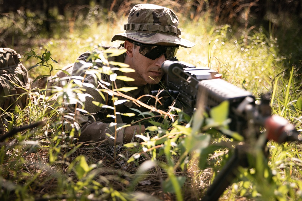 RTI Infantry ALC: Joint Component Aviation Insertion