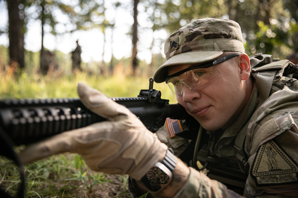 RTI Infantry ALC: Joint Component Aviation Insertion