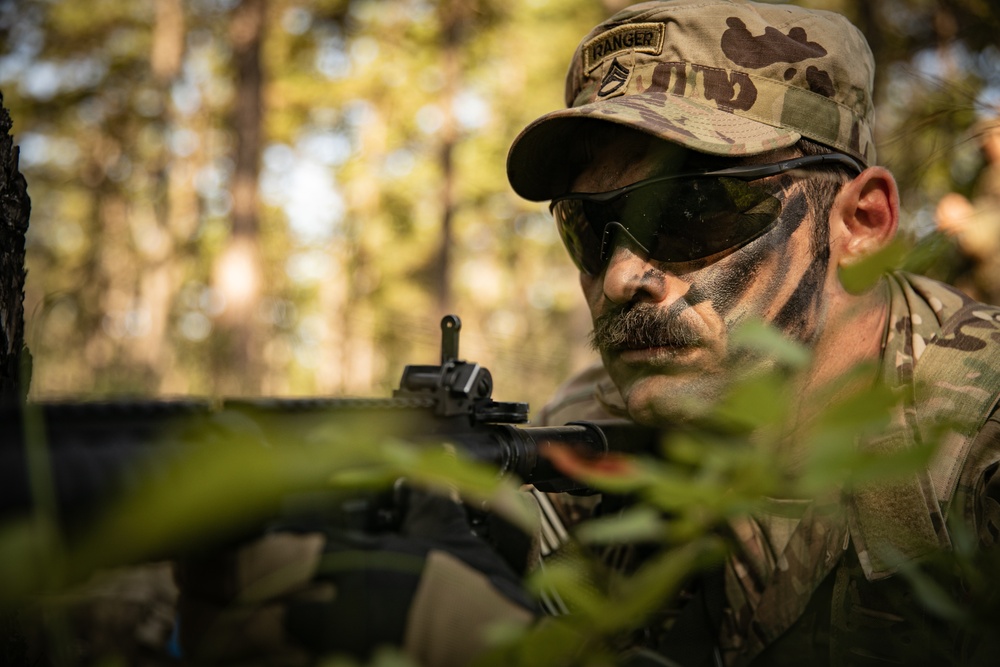 RTI Infantry ALC: Joint Component Aviation Insertion