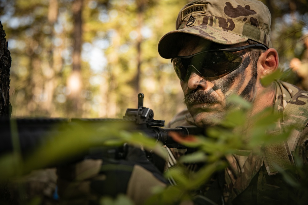 RTI Infantry ALC: Joint Component Aviation Insertion