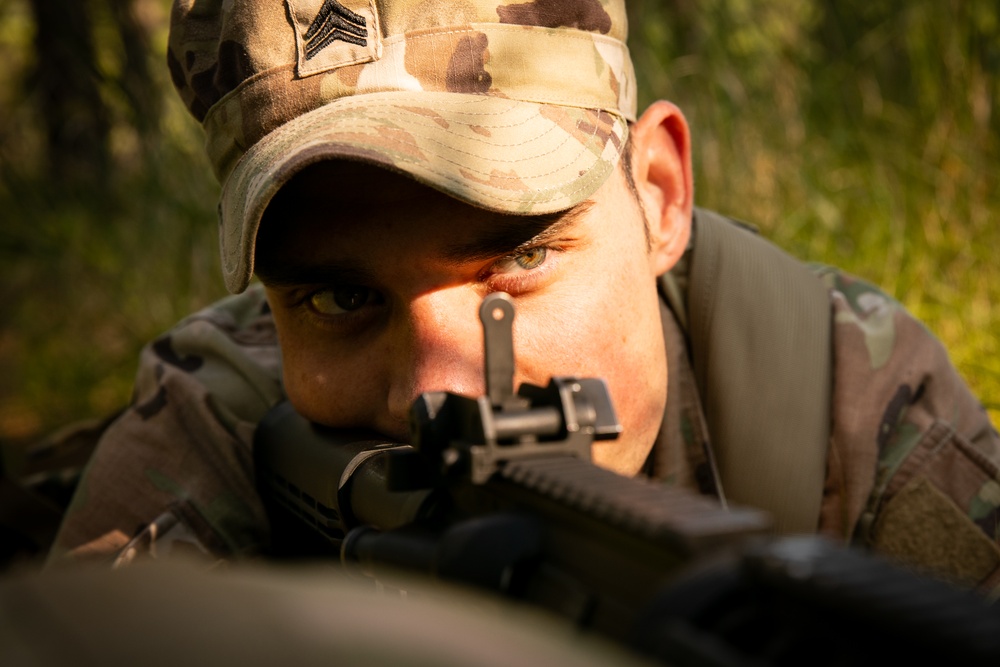 RTI Infantry ALC: Joint Component Aviation Insertion