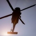 RTI Infantry ALC: Joint Component Aviation Insertion