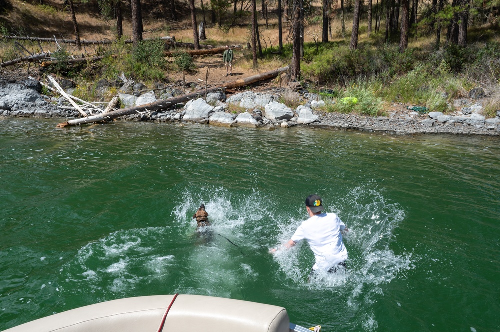Military working dog conduct water familiarization training