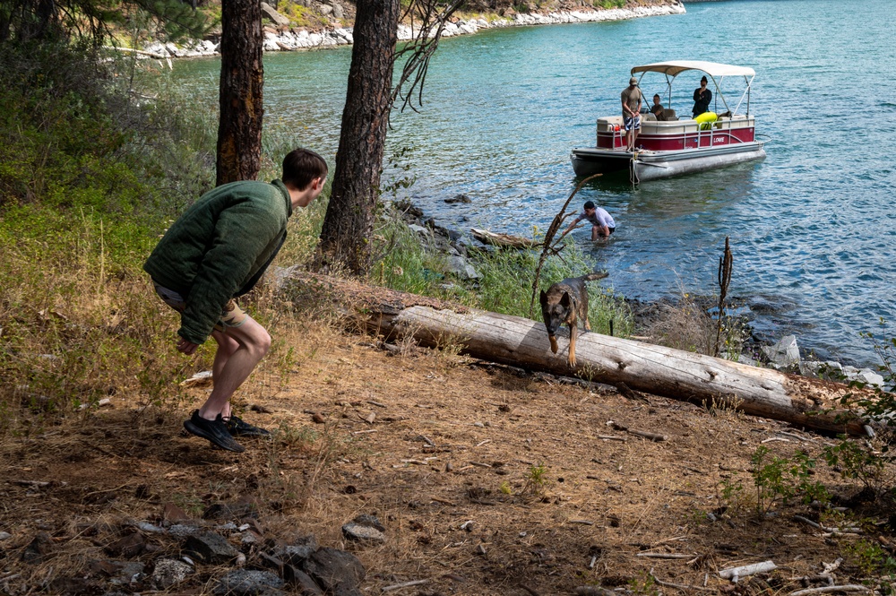 Military working dog conduct water familiarization training