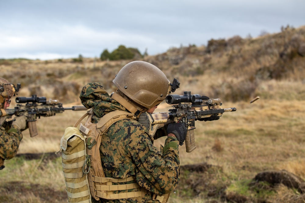 Honing Skills: Blue Diamond Marines Conduct Cold Weather Exercise Alongside Chilean Marines