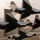 Thunderbirds return to Cheyenne Frontier Days