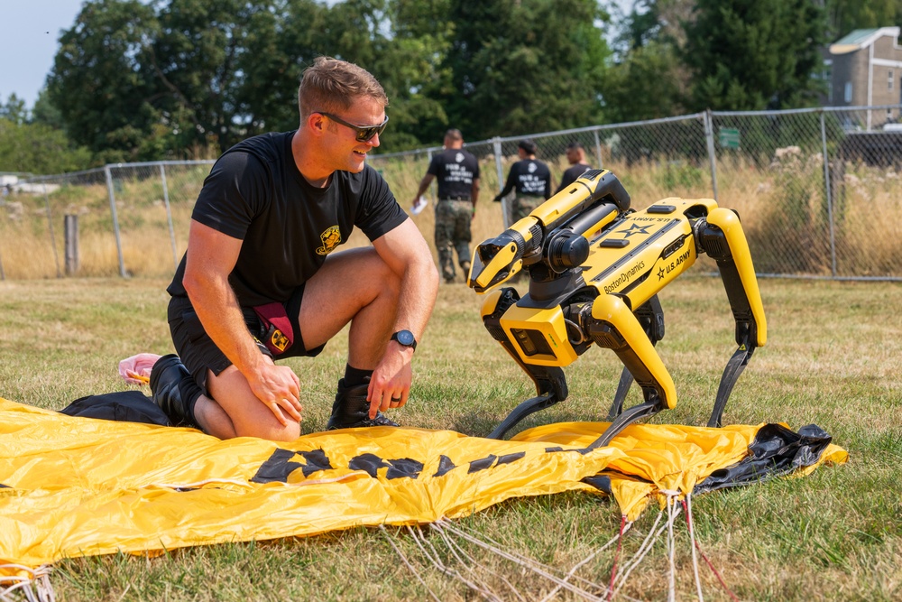 Army Golden Knights jump at Boeing SeaFair Airshow