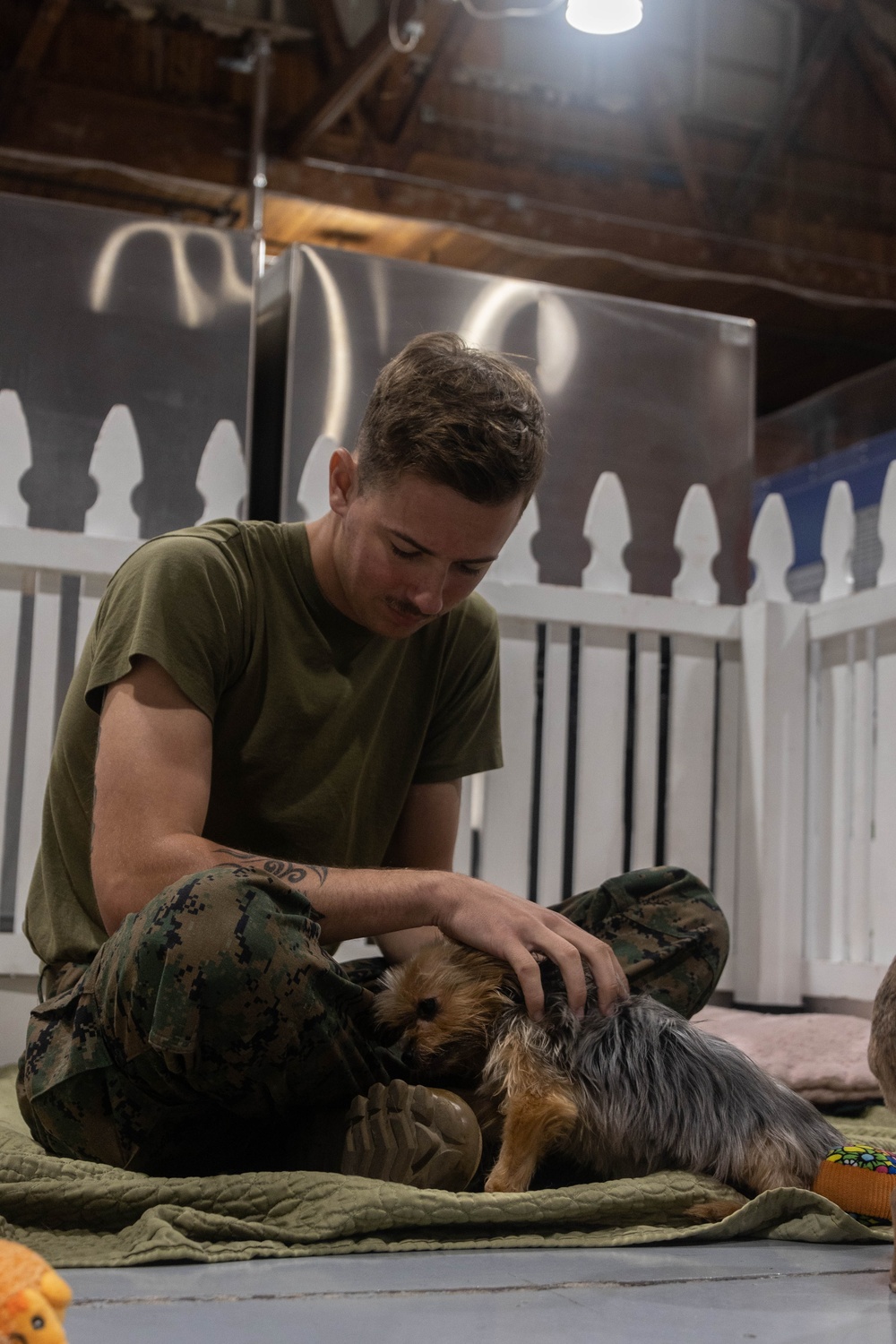 U.S. Marines volunteer at Seattle animal shelter