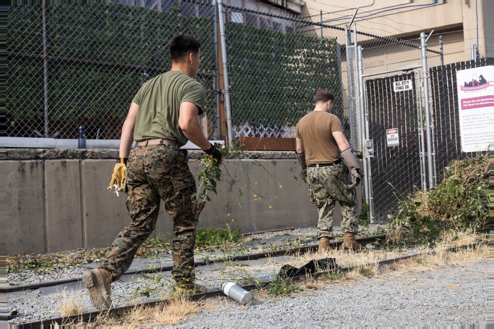 U.S. Marines volunteer at Seattle animal shelter