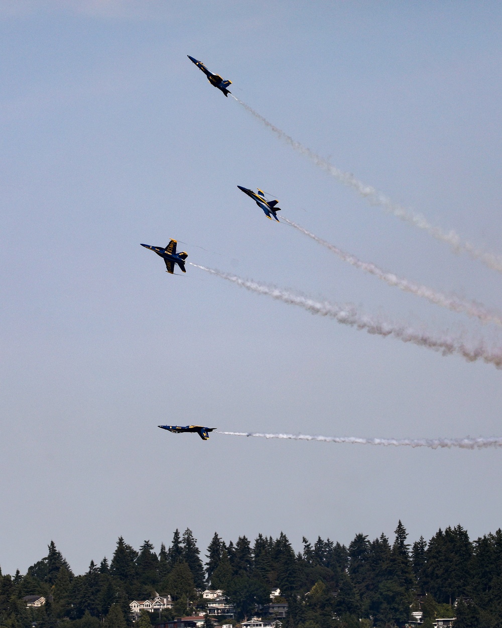 Seattle Seafair 2024: Blue Angels Show