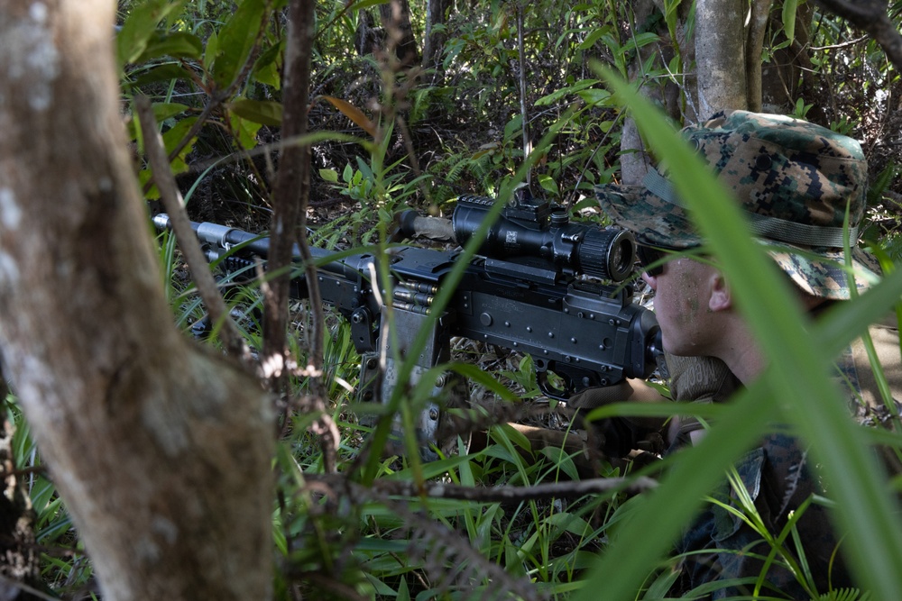 31st MEU Platoon reinforcement Exercise