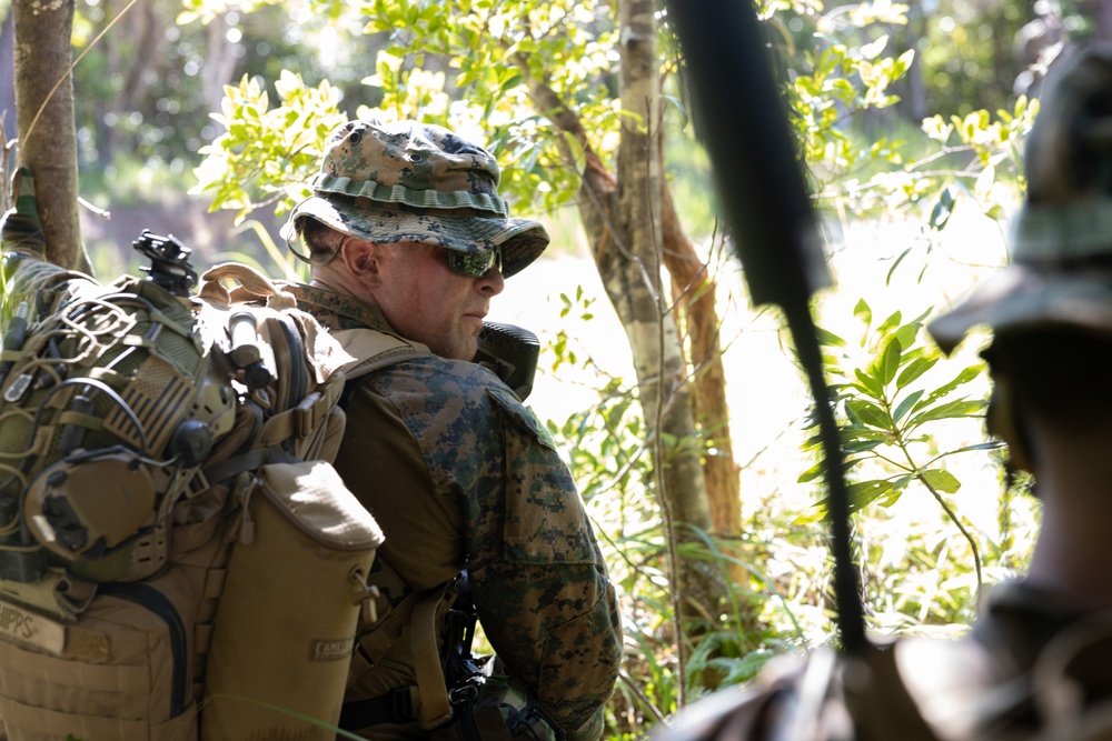31st MEU Platoon reinforcement Exercise