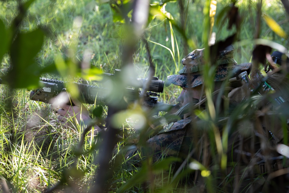31st MEU Platoon reinforcement Exercise