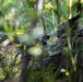 31st MEU Platoon reinforcement Exercise