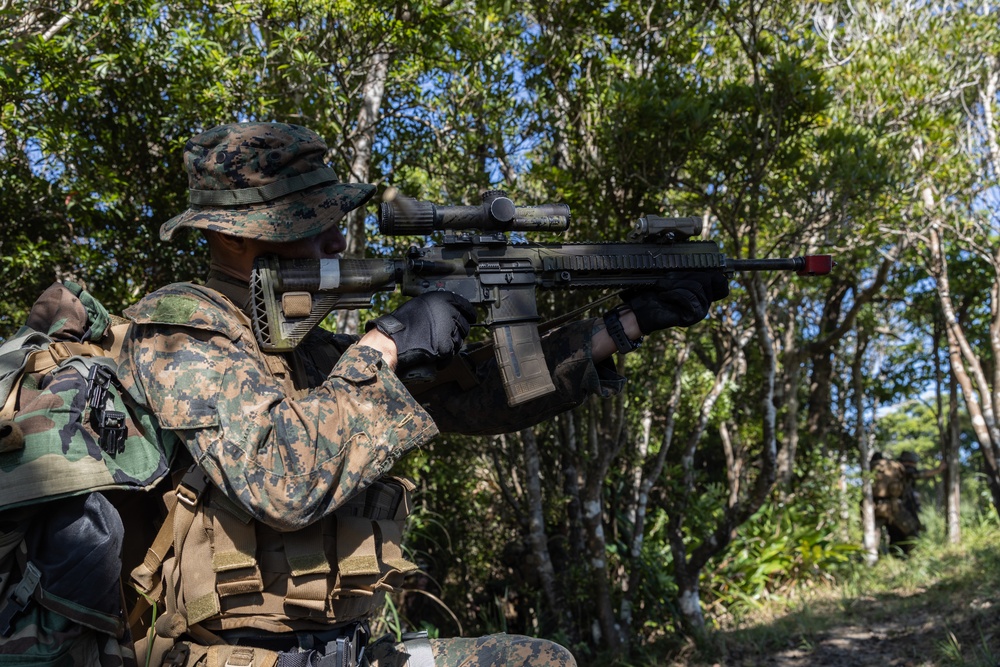 31st MEU Platoon reinforcement Exercise