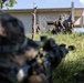 31st MEU Platoon reinforcement Exercise
