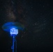 RD24 | 3rd Intel Battalion Maritime Surveillance Platoon Night Ops