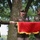 Uncasing and Unfurling of One Star Flag Uncasing and Unfurling of One Star Flag