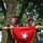Unfurling of One Star Flag at the promotion ceremony for COL Ronnie D. Anderson Jr., Commander of the U.S. Army Joint Munitions Command, Fri., Aug. 2 2024 at Rock Island Arsenal Unfurling of One Star Flag at the promotion ceremony for COL Ronnie D. Anderson Jr., Commander of the U.S. Army Joint Munitions Command, Fri., Aug. 2 2024 at Rock Island Arsenal