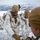 Chile: Marines Promote Atop Mount Tarn