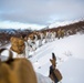 Marines Scale Mount Tarn, Chile