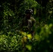 3rd Special Forces Group (Airborne) Field Training