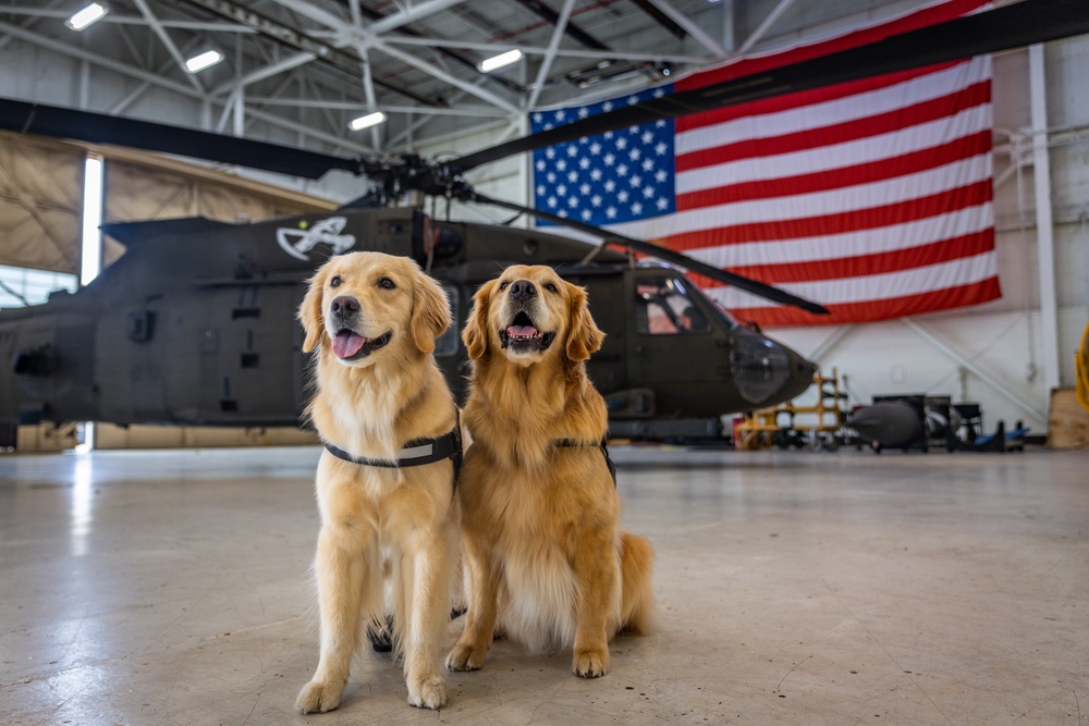 Ellie Golden Life visits the 101st Combat Aviation Brigade